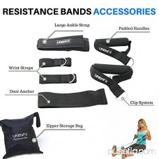 Resistance Bands Set (12 Piece) Includes Door Anchor, Ankle & Wrist Strap, Exercise Guide And Carrying Bag For Strengthening And Training (Pro Series)